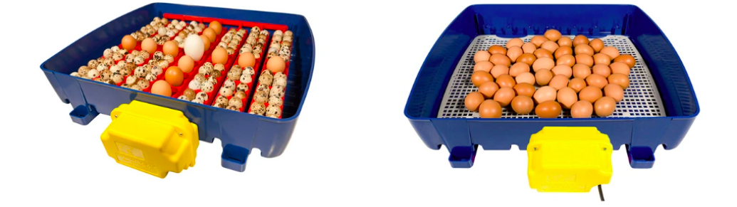 Snímka obrazovky 2024-09-24 o 17.36.21